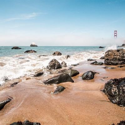 中国做细海湾保护大文章 织就更美风景线